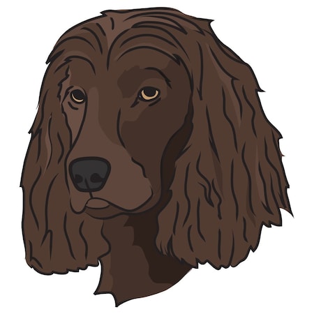 Signmission Boykin Spaniel Dog Decal, Dog Lover Decor Vinyl Sticker D-12-Boykin Spaniel